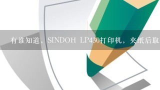 有谁知道，SINDOH LP430打印机，夹纸后取出纸张后，仍然显示382: paper